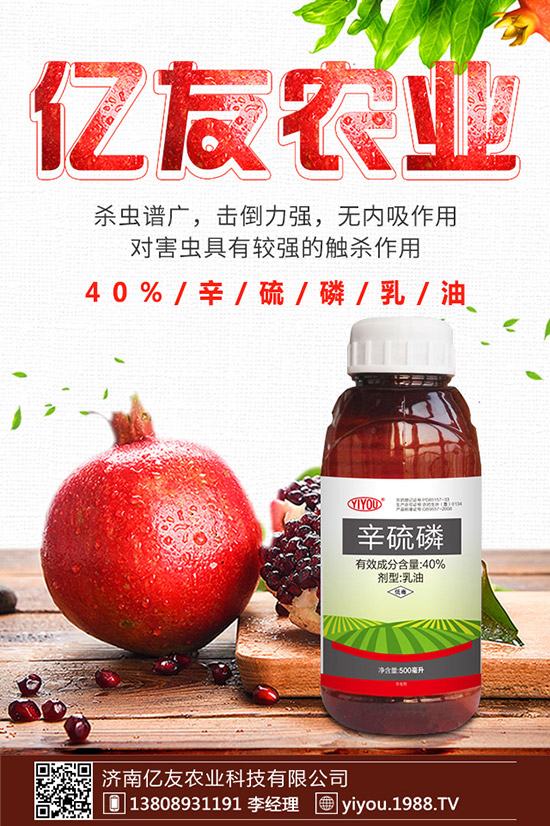 �D÷�N����ô�N���D÷�N�ӷNֲ������