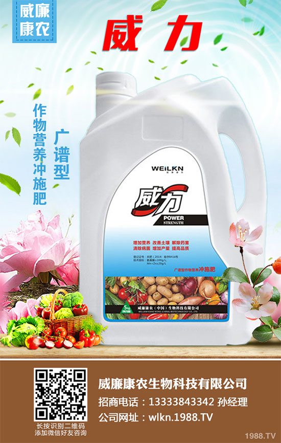 白菜干燒心有哪些危害？是如何引起的？白菜干燒心的防治措施