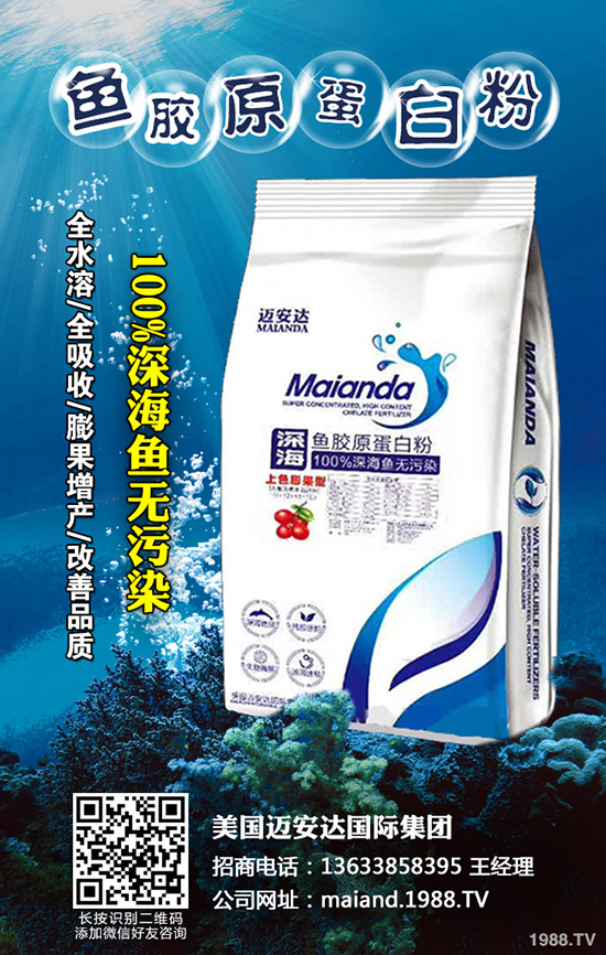     2019��10����Ѯ�������������߄ݾC�Ϸ���