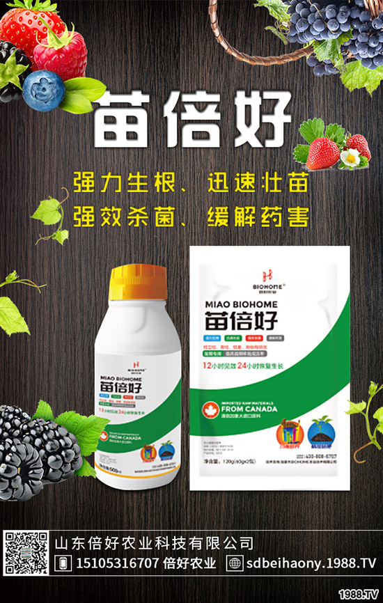 С�����N�󲻳����������ԭ����������С��������?