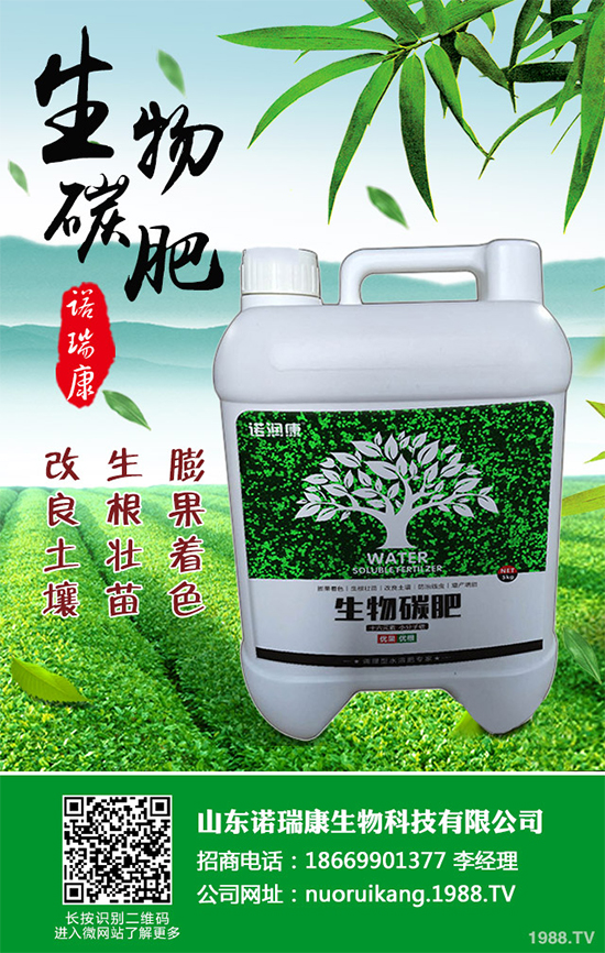 ����������ԓ��ô�N�������@���c���p�ɷN����������