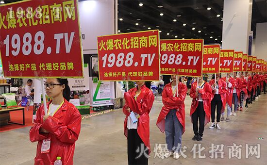 ǧ�̅R������Ʒ�Ƽ�|2019�����r����ʢ���_Ļ��