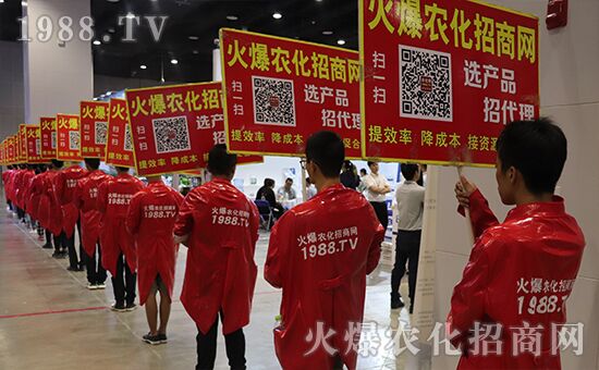 ǧ�̅R������Ʒ�Ƽ�|2019�����r����ʢ���_Ļ��