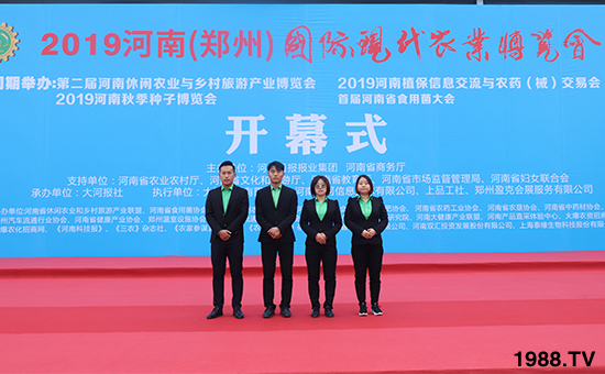 ǧ�̅R������Ʒ�Ƽ�|2019�����r����ʢ���_Ļ��