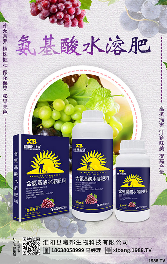 �＾�}����ô�Nֲ���＾�}���Nֲ���g(sh��)������Ҫ�c��