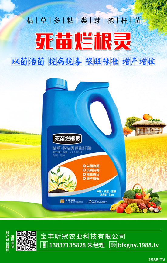 ��ô�Nֲ�_�h�����_�h���Nֲ������B��