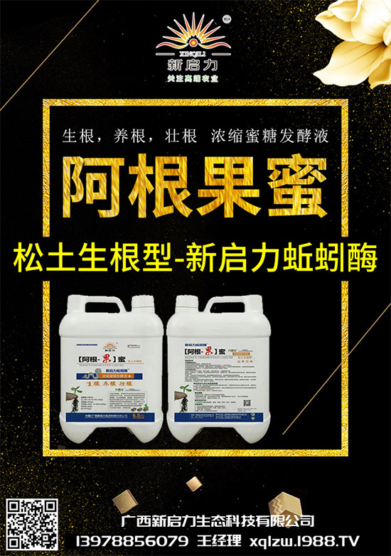 ���{��Ä������ЩΣ��������{�����İl(f��)���c���μ���