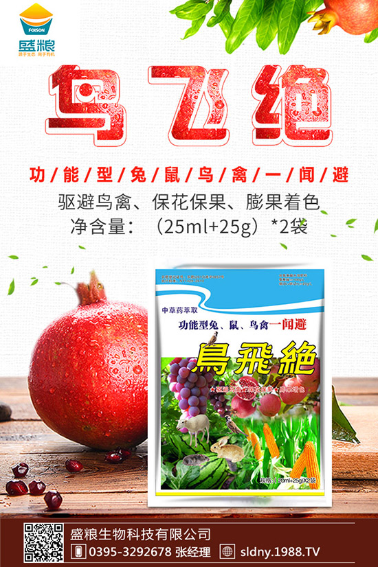 �������t������ڷ����������t���ڷ۷�������Щ��