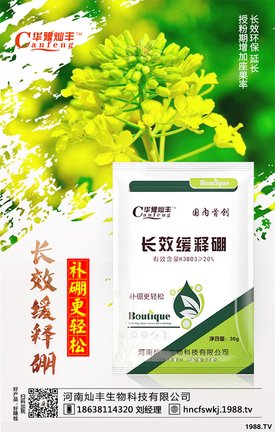 ���{(l��n)���ݲ���(l��i)�u������ԓ��η��������{(l��n)���ݲ����δ�ʩ