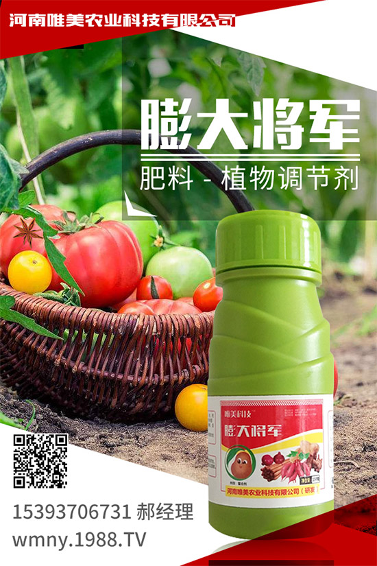 С���׷�ʩ���������ʲô��С���׷ʵ�ʩ�÷���