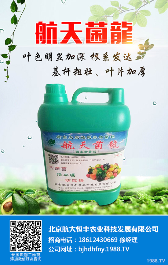 ���ֹϵķNֲ��������Щ�����ֹ���ηNֲ�׸߮a(ch��n)��