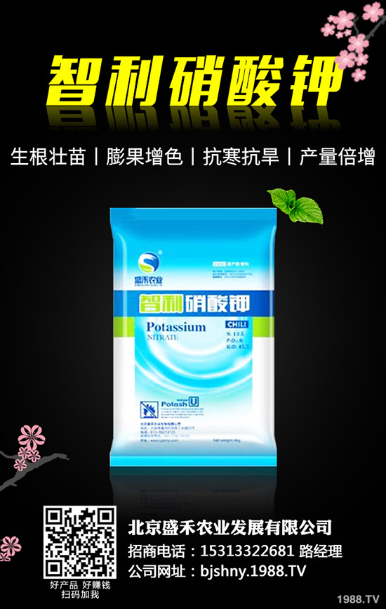 �ڶ�ʲô�r(sh��)��Nֲ���ڶ��ķNֲҪ�c(di��n)����Щ��