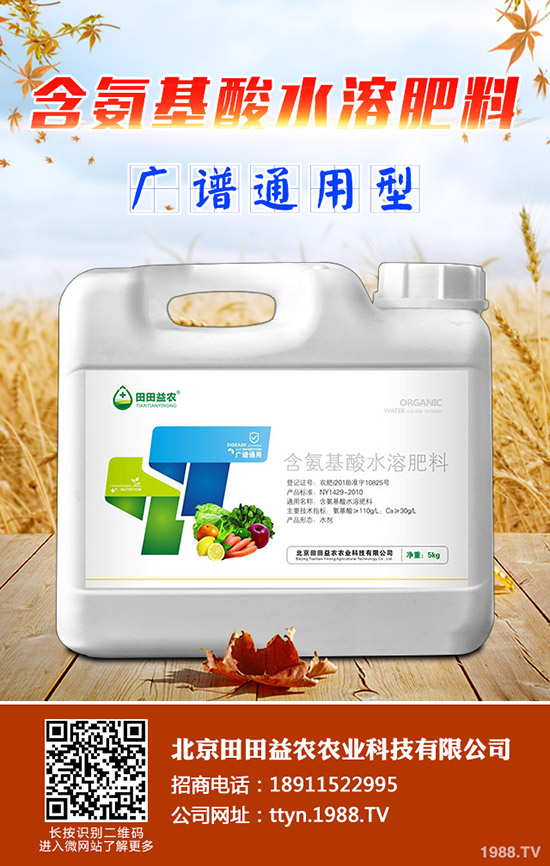 ⛷ʃr(ji��)���^�m(x��)���{(di��o)��⛷ʃr(ji��)������һ�[2019-11-14