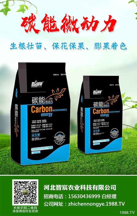 ���������߲˷Nֲԓע��ʲô����ӛ�e�M(j��n)�@�����`�^(q��)