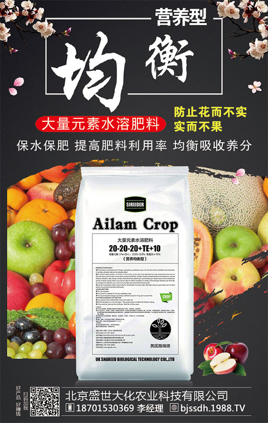 ���ӵĠI(y��ng)�B(y��ng)������t���ֵĹ�Ч�c���ã�