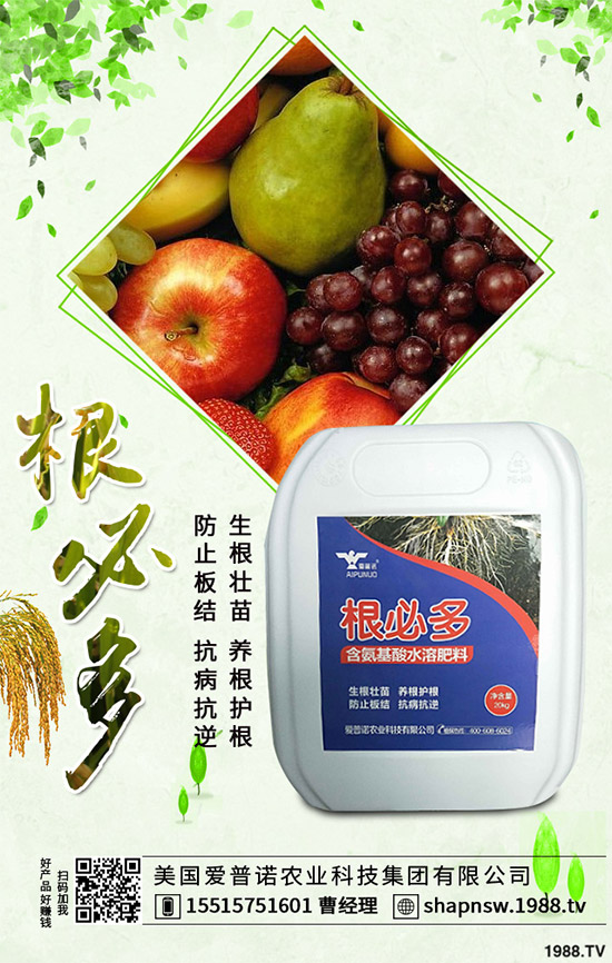 ������ô�������ܸ߮a(ch��n)�����Ӹ߮a(ch��n)�ߴ������ʩ