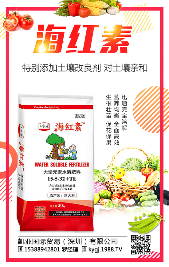 �����˵ķNֲ�r(sh��)�g�����������˷Nֲ������