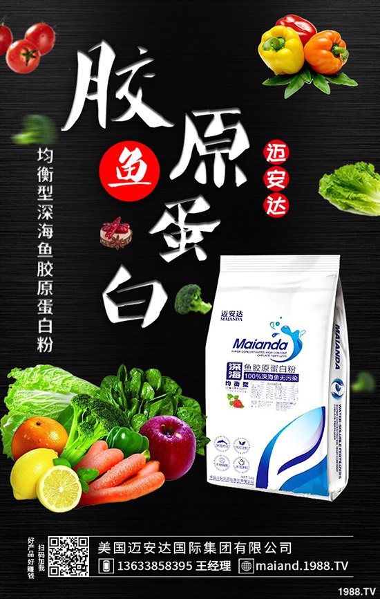     �ﶬ11�¡�12�·Nֲʲô�߲˱��^���m��ʲô���^ٍ�X��ǰ���ã�