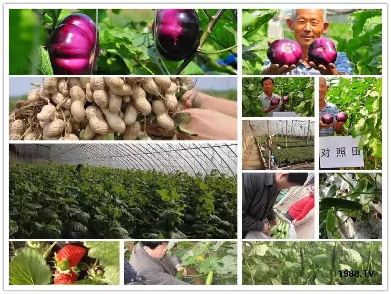 �VԴ�S����⛡�����Ʒ����1����=8���ЙC(j��)�����½�Դ�^ֱ�l(f��)������