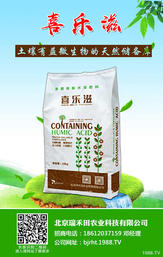 �����~Ƭ�l(f��)�S����ô�����������~Ƭ�l(f��)�S��ô���Σ�