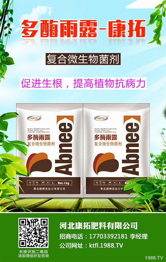 11�·��r(n��ng)�°�������Щ��2019�ﶬ�߲˷Nֲָ��