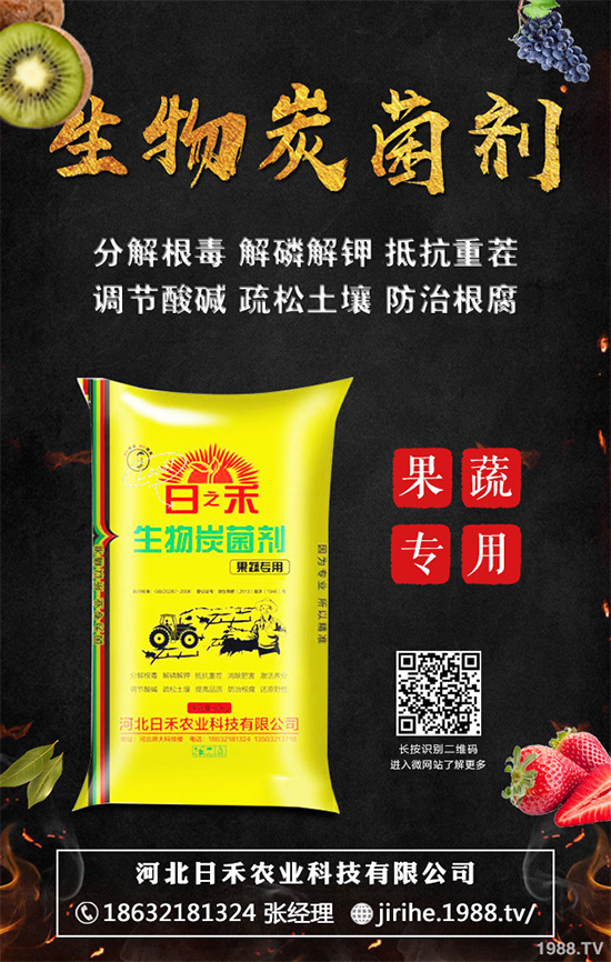 ���[��ֲ�������ˆ������[��ֲ����ֲ���������