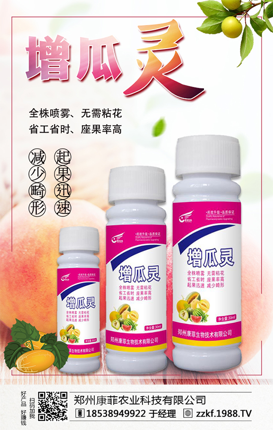 �����Ϲ���ô�Nֲ�������ϹϵķNֲ��Ҫ�c��