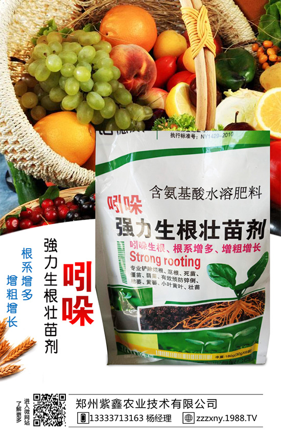 ��֥��Nֲ�r�g��ʲô�r��᣿��֥��Nֲ�������g��