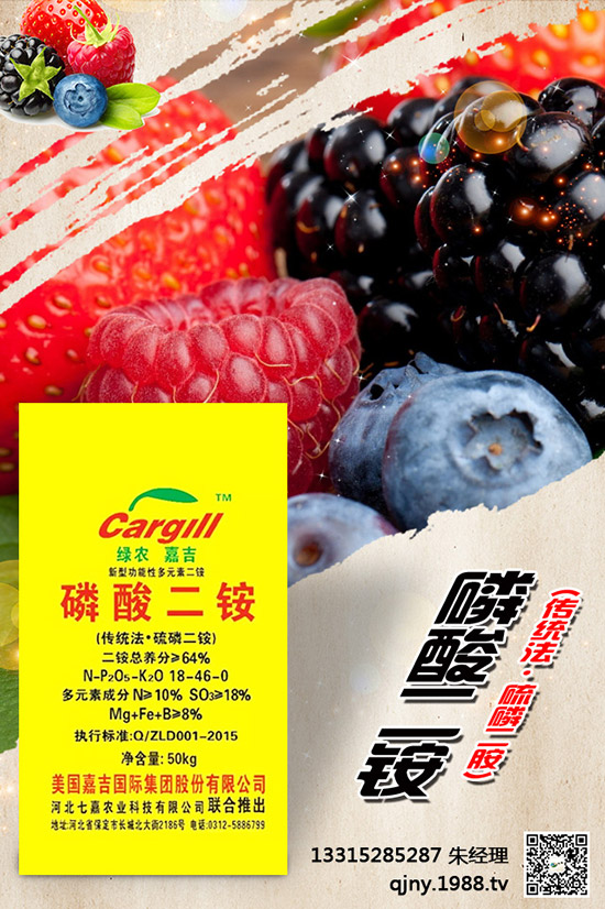 С����ʲô����(ji��)���N������Щ�Nֲ���ɣ�