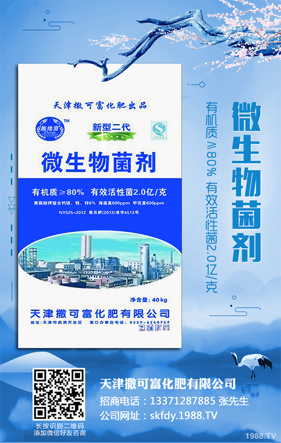 ��Ƥ�����Ժ���S��զ���£�ԓ��ô��Q�����������