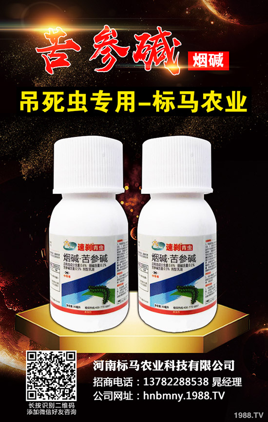 �������x��Σ���Y��l(f��)���l������������Щ���η�����