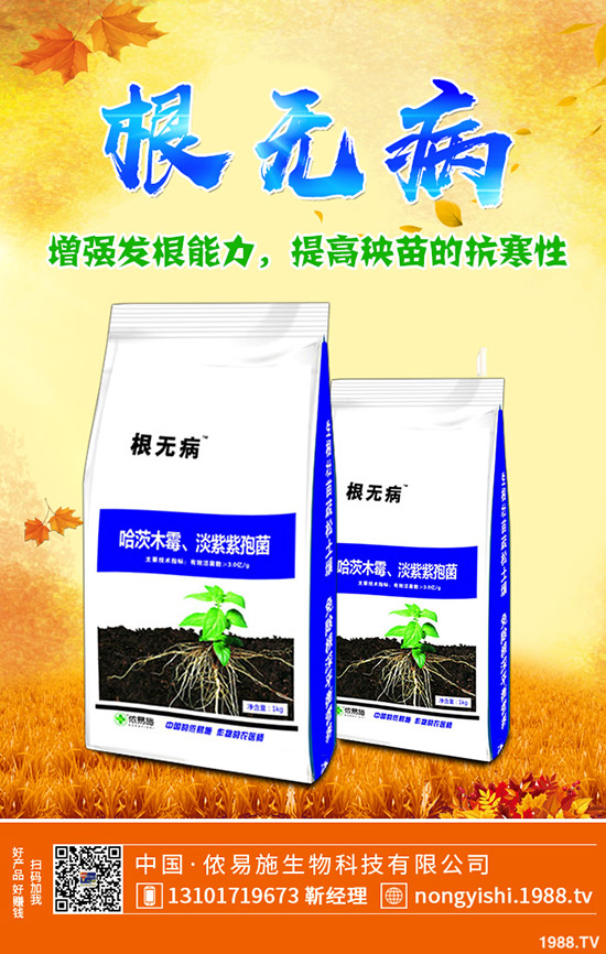     ���@�����Ј�����������������@�������S��rһ�[2019-11-4