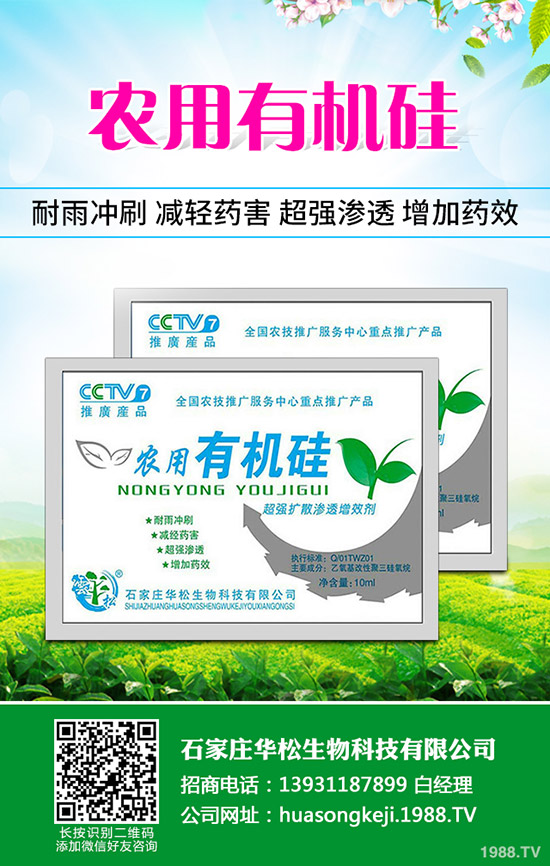 �ʲݵķNֲ��������Щ���ʲݷNֲ��Ҫʲô�ӭh(hu��n)����