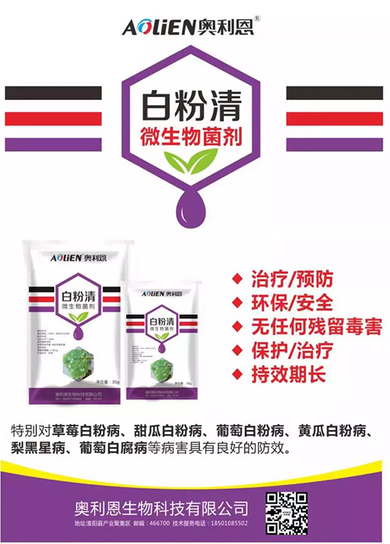 �׷۲�������(f��)�y�p���� ӛס�@��ˎ����Ч���ΰ׷۲����P����