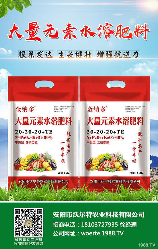 ������ô�N�����۷NֲҪ������Щ��