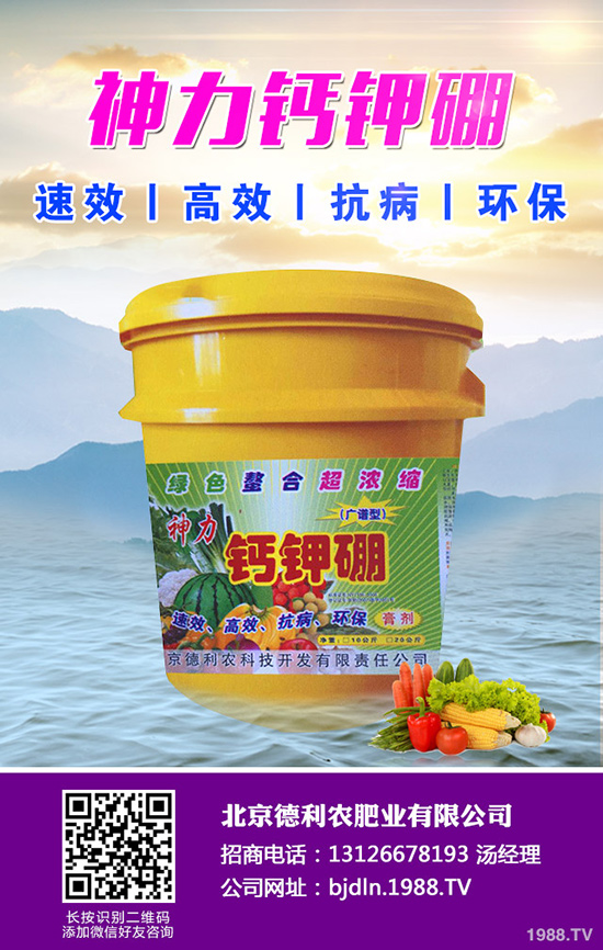 ���¹ϷNֲǰ����������¹ϷNֲҪ�c(di��n)��