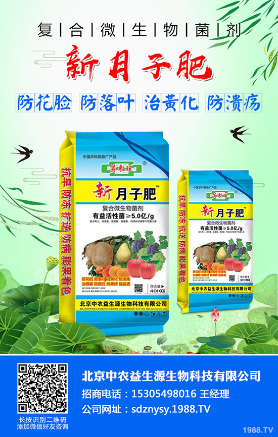     �t��ӭ������������2019��ȼt���r�������߄ݼ�������r��