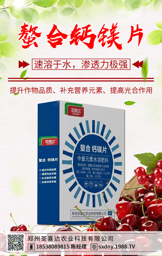 ���E��ʲô�@ô���˚gӭ�����E���Ј�(ch��ng)�������