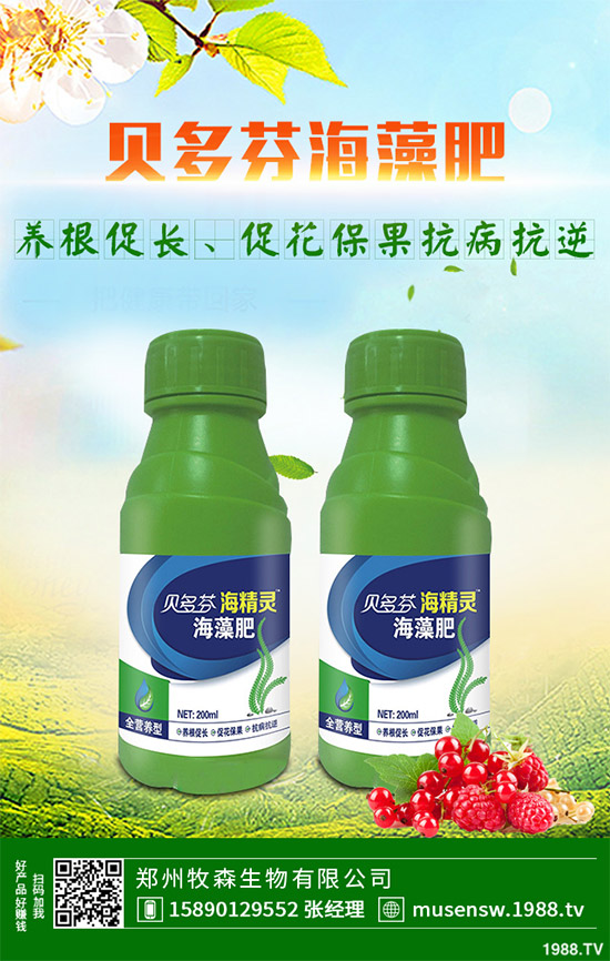 ���E��ʲô�@ô���˚gӭ�����E���Ј�(ch��ng)�������