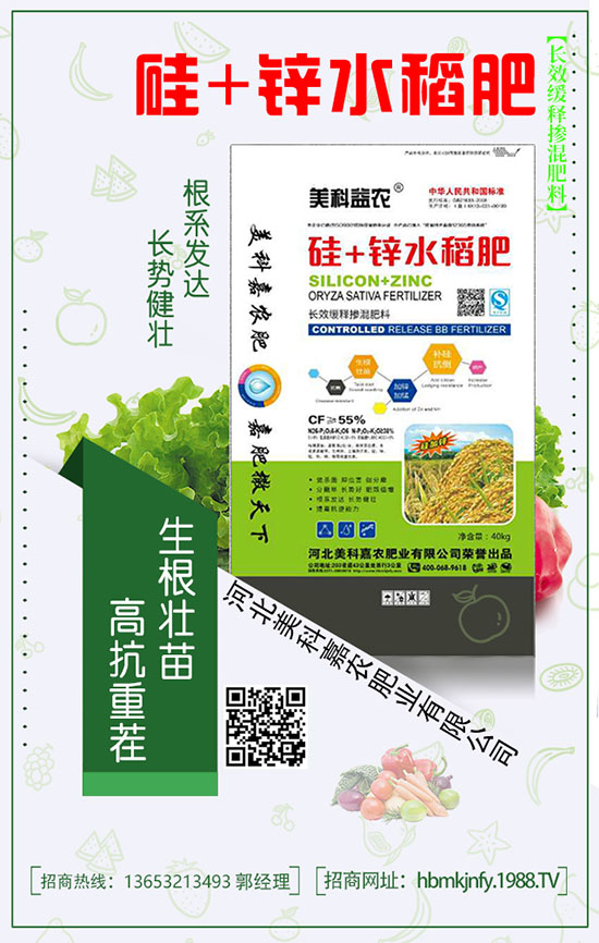 �����С������ڏͺϷ��а�������Щ��ɫ��