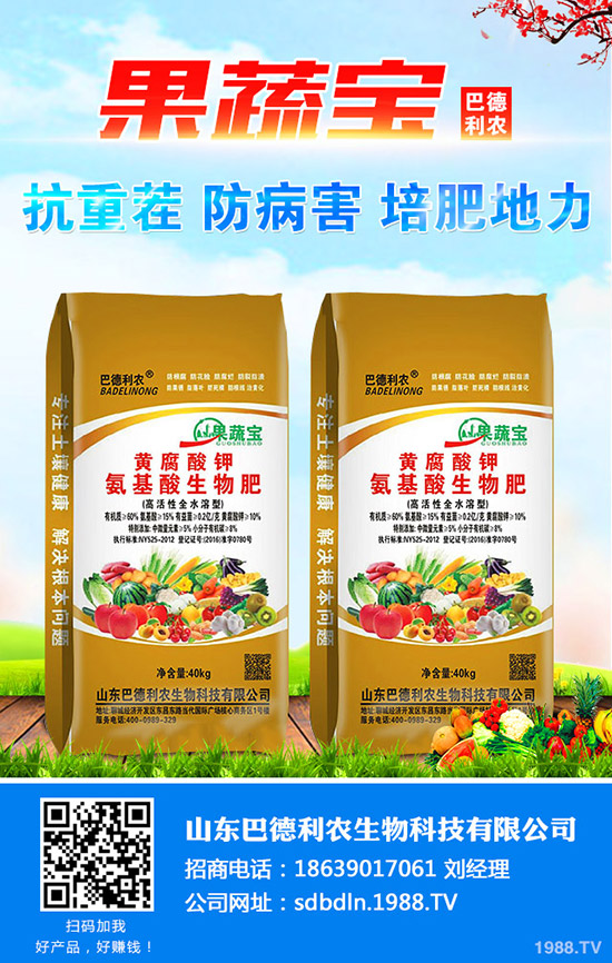 2019年12月中旬尿素價格連連上漲的原因!后市行情如何?