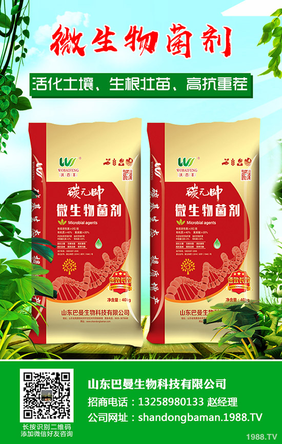     ���������Ј�(ch��ng)���镺��(w��n)��2019��12��16������������S������(b��o)�r(ji��)��