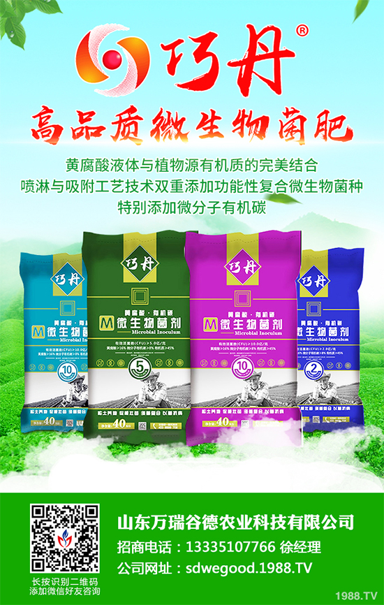 ؕ������Щ���湦Ч��ؕ�ջ��Ĺ�Ч�����c����