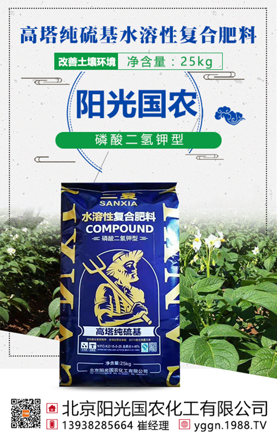 ���w�������@�ӵ���