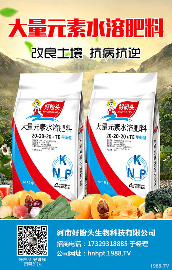 С������ĺ�̎����Щ��С������ע��Ҫ�c(di��n)��