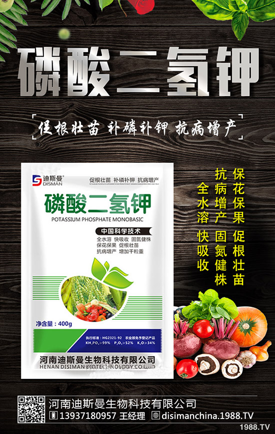 ������ô�Nֲ�������Nֲ�������ճ�����������