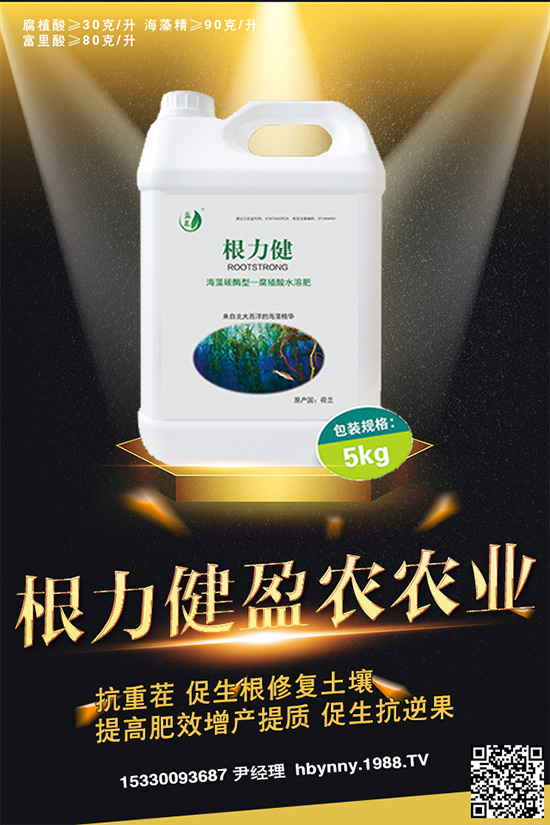     ������ȥ�������_�����_���Ϸ���ע�⡰���ɡ�