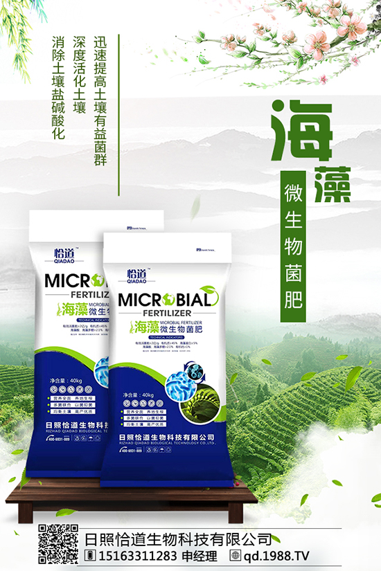 ����ǡ������Ƽ����޹�˾