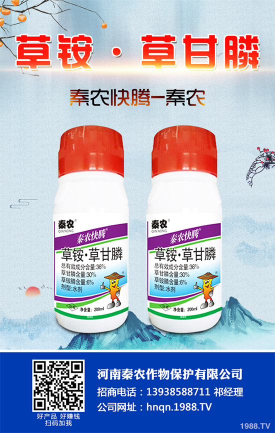 Prentiss�������������s�ݳ��݄�Camp-D ��2��4-D�Ͱ��������