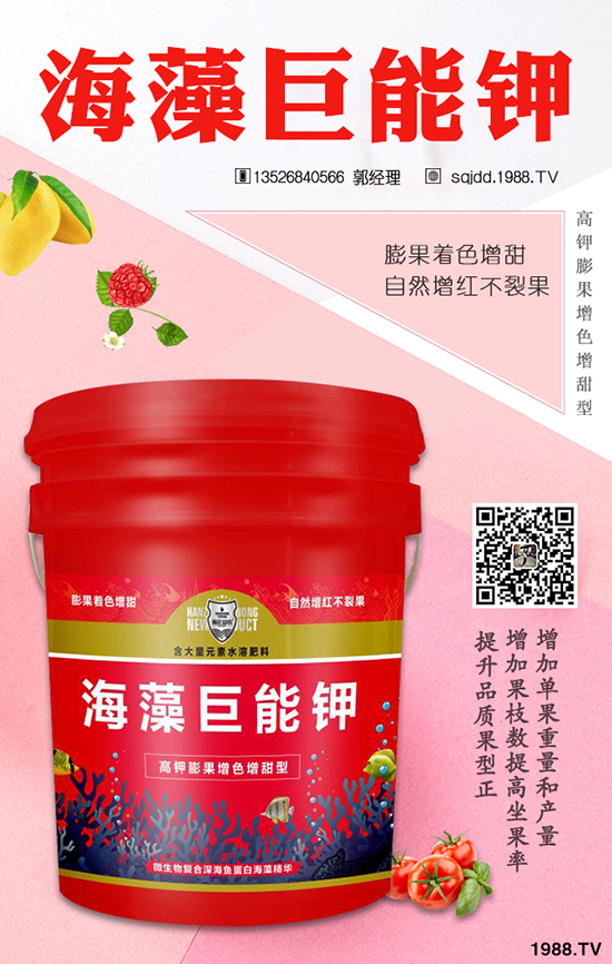 ���S�NֲЧ�� ���S�Nֲǰ��